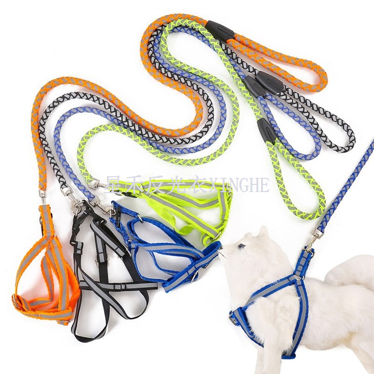 Atstarojoša mājdzīvnieku suņu pavada